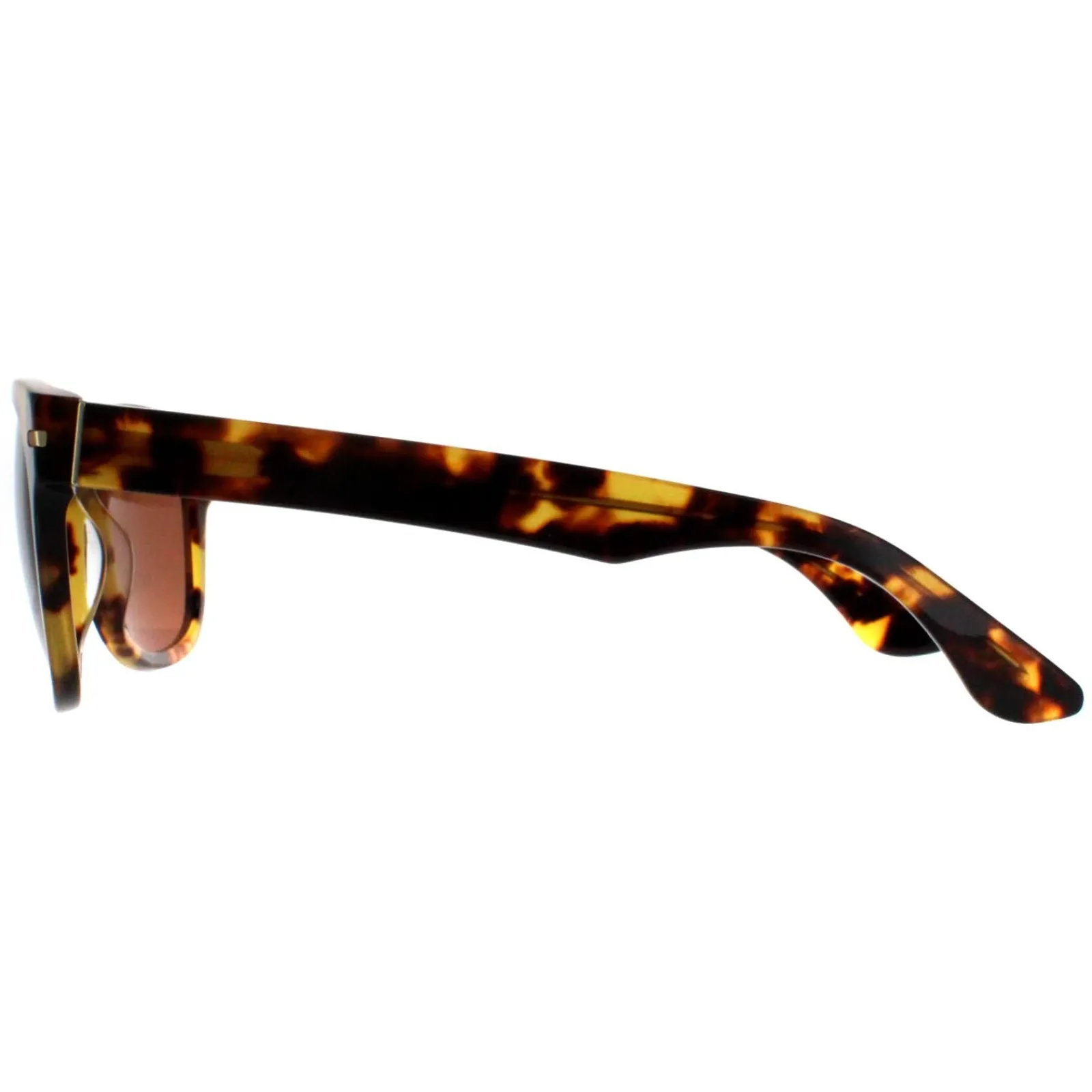 Serengeti Square|Polarised^Sunglasses Foyt Large SS550002 Shiny Tortoise Havana Mineral