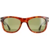 Serengeti Square|Square^Sunglasses Foyt Large SS550001 Shiny Classic Havana Polarize
