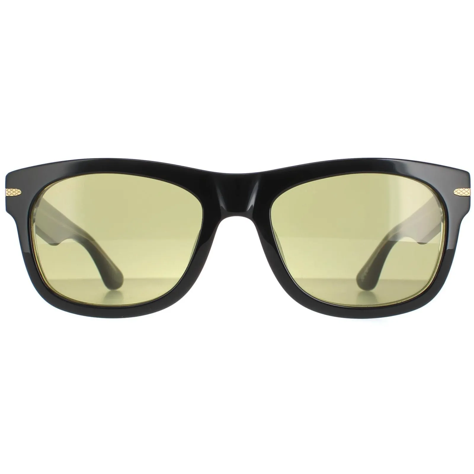 Serengeti Square|Square^Sunglasses Foyt SS549005 Shiny Black Transparent Layer Green