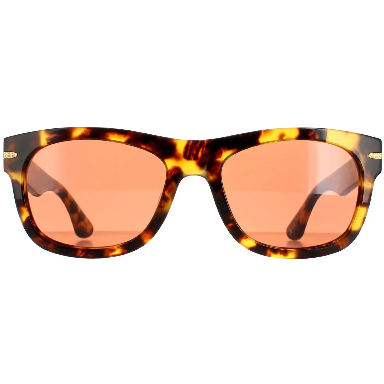 Serengeti Square|Square^Sunglasses Foyt SS549006 Shiny Tortoise Havana Mineral Drive