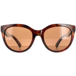 Serengeti Polarised|Cat-Eye^Sunglasses Lia 8573 Red Moss Tortoise Matte Champagne Gold P
