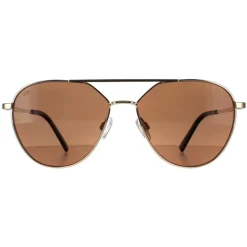 Serengeti Polarised|Aviator^Sunglasses Odell SS555001 Shiny Light Gold Saturn Polarized