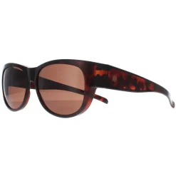 Smarty Rectangle|Rectangle^Sunglasses SA220 0A Brown Tortoise Brown