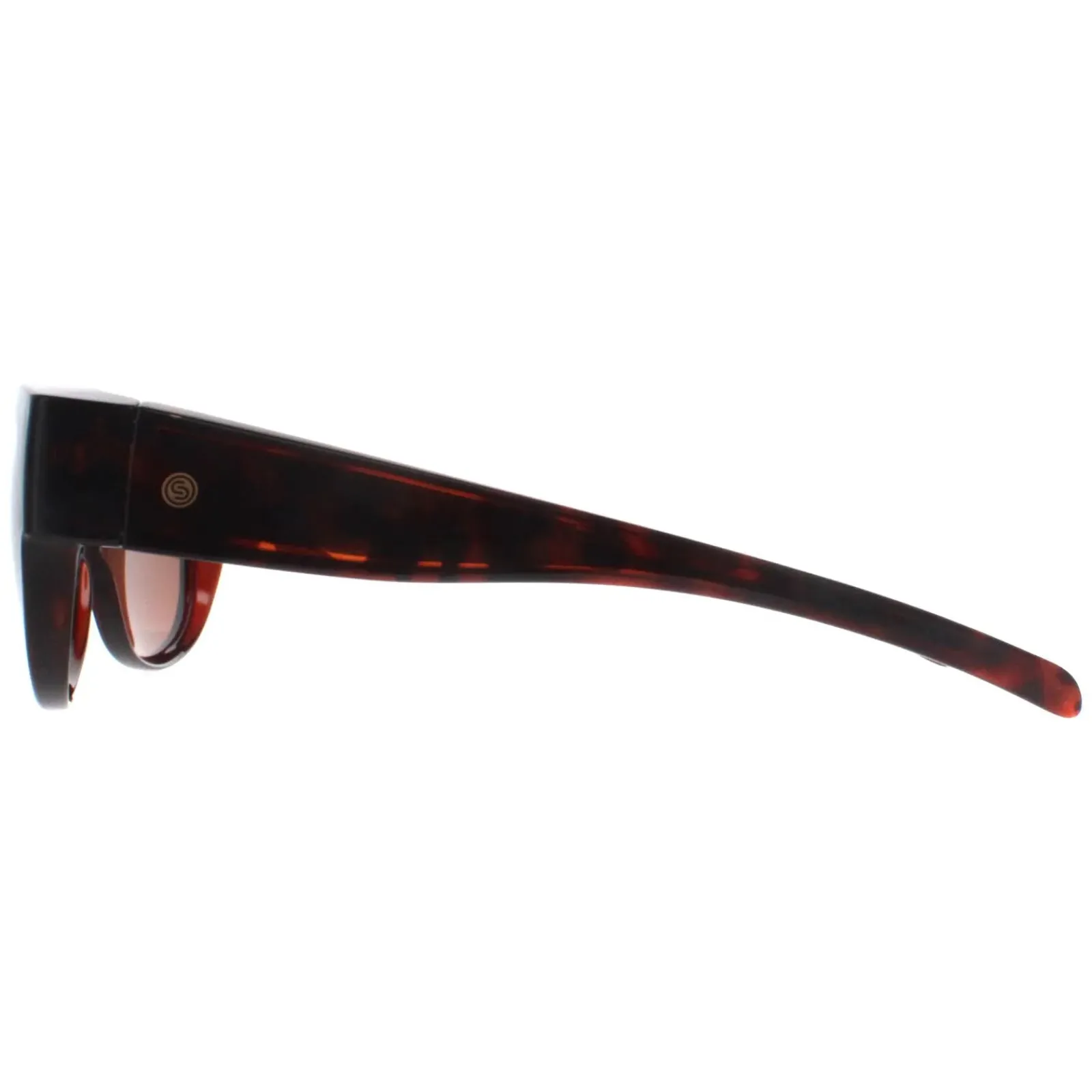 Smarty Rectangle|Rectangle^Sunglasses SA220 0A Brown Tortoise Brown