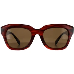 Smarty Square^Sunglasses SB2311 B Demi Transparent Brown Brown
