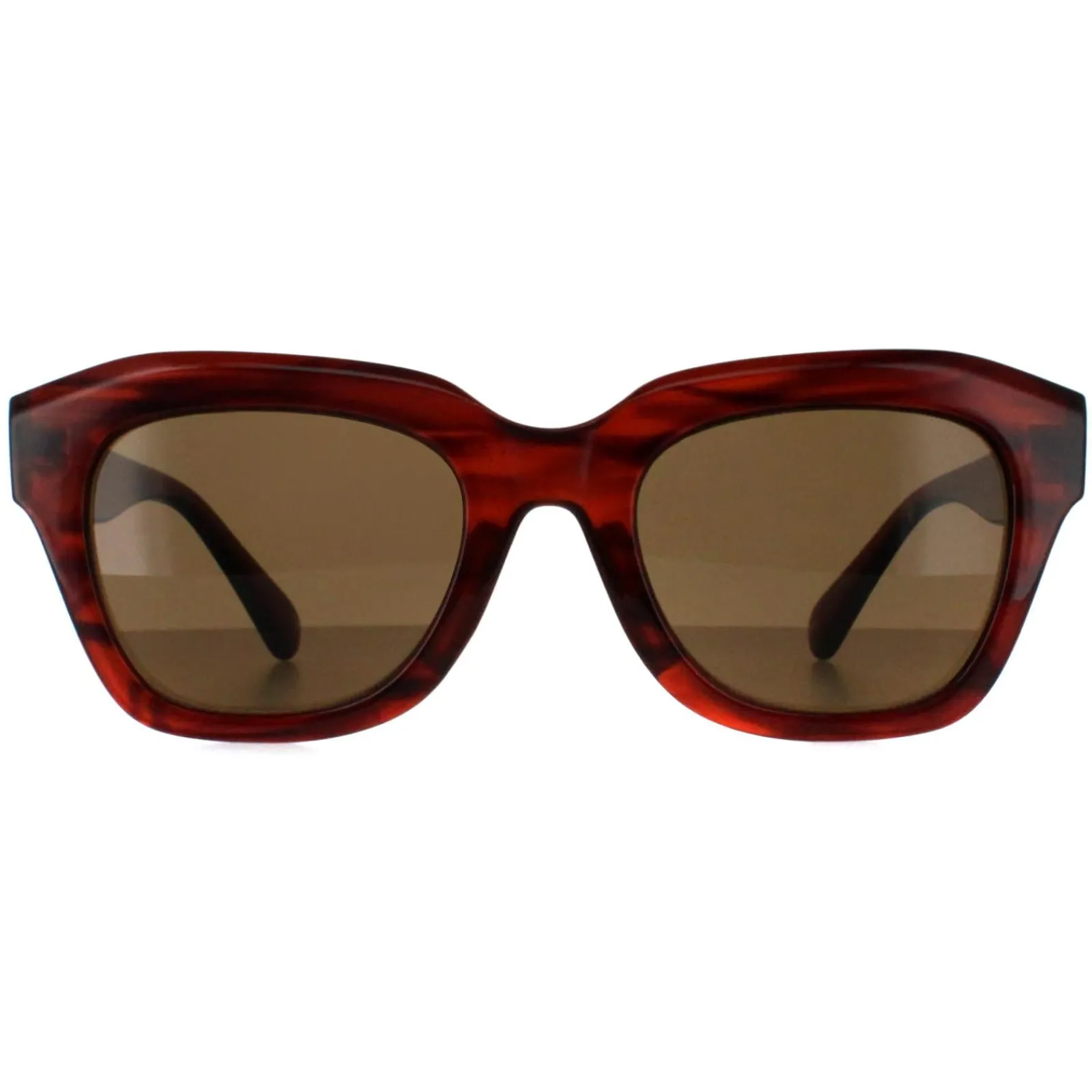 Smarty Square^Sunglasses SB2311 B Demi Transparent Brown Brown