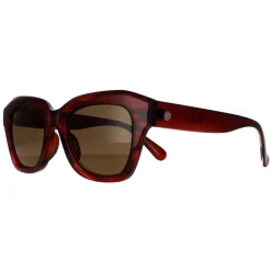 Smarty Square^Sunglasses SB2311 B Demi Transparent Brown Brown