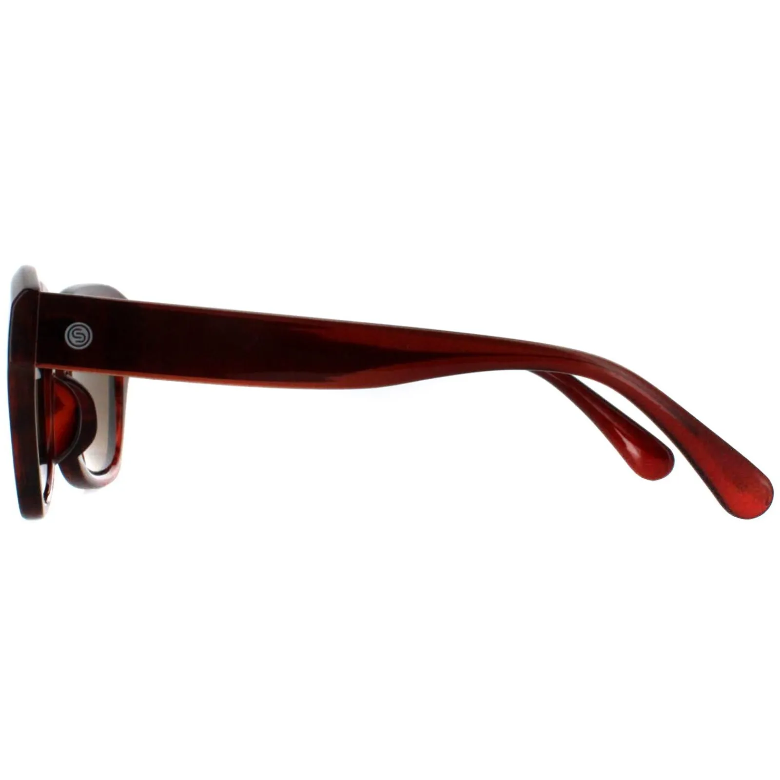Smarty Square^Sunglasses SB2311 B Demi Transparent Brown Brown
