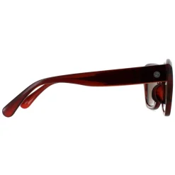 Smarty Square^Sunglasses SB2311 B Demi Transparent Brown Brown