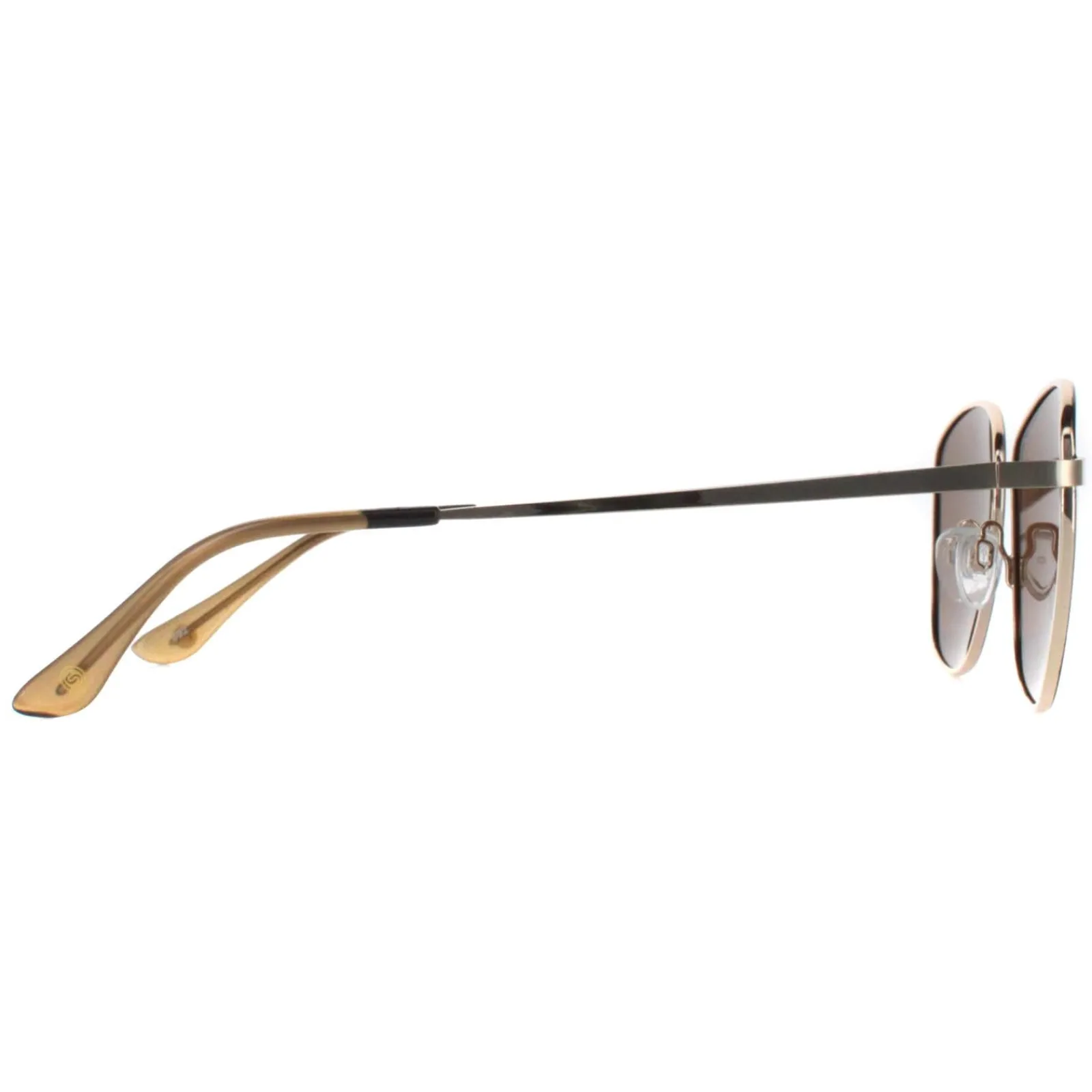 Smarty Square^Sunglasses SB1306 B Gold Brown