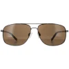 Smarty Aviator|Aviator^Sunglasses SB1304 B Gun Brown