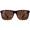 Smarty Square|Square^Sunglasses SB2201 B Tortoise Brown Brown