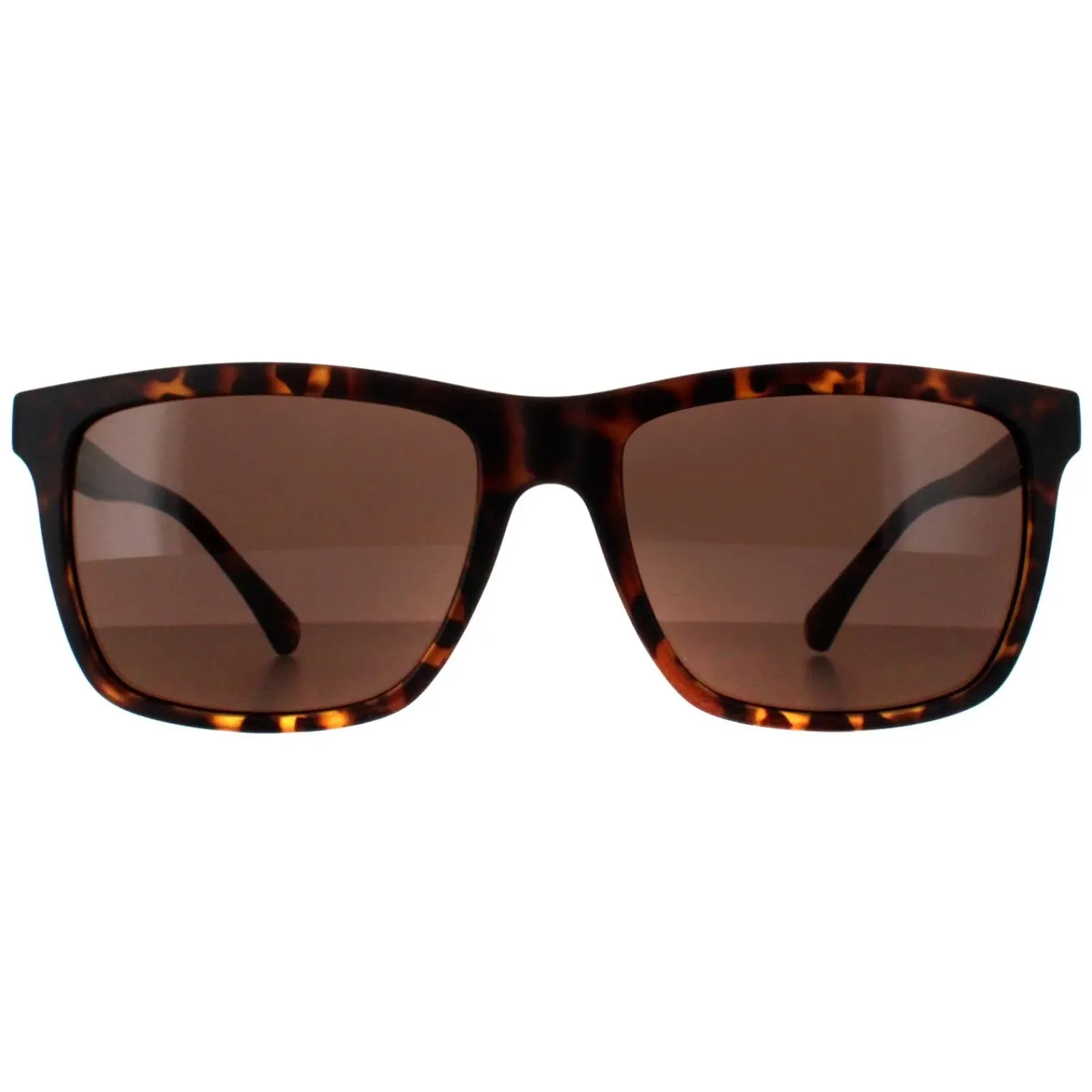 Smarty Square|Square^Sunglasses SB2201 B Tortoise Brown Brown