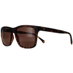 Smarty Square|Square^Sunglasses SB2201 B Tortoise Brown Brown