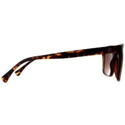 Smarty Square|Square^Sunglasses SB2201 B Tortoise Brown Brown