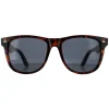 Smarty Square|Square^Sunglasses SB2304 B Tortoise Brown Grey