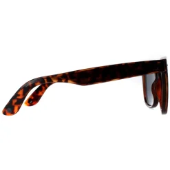 Smarty Square|Square^Sunglasses SB2304 B Tortoise Brown Grey