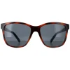 Smarty Square|Square^Sunglasses SB2315 C Tortoise Brown Blue Grey Blue