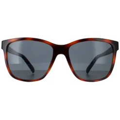 Smarty Square|Square^Sunglasses SB2315 C Tortoise Brown Blue Grey Blue