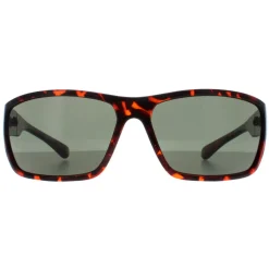 Smarty Wrap|Wrap^Sunglasses X2135 B Demi Brown Tortoise Green