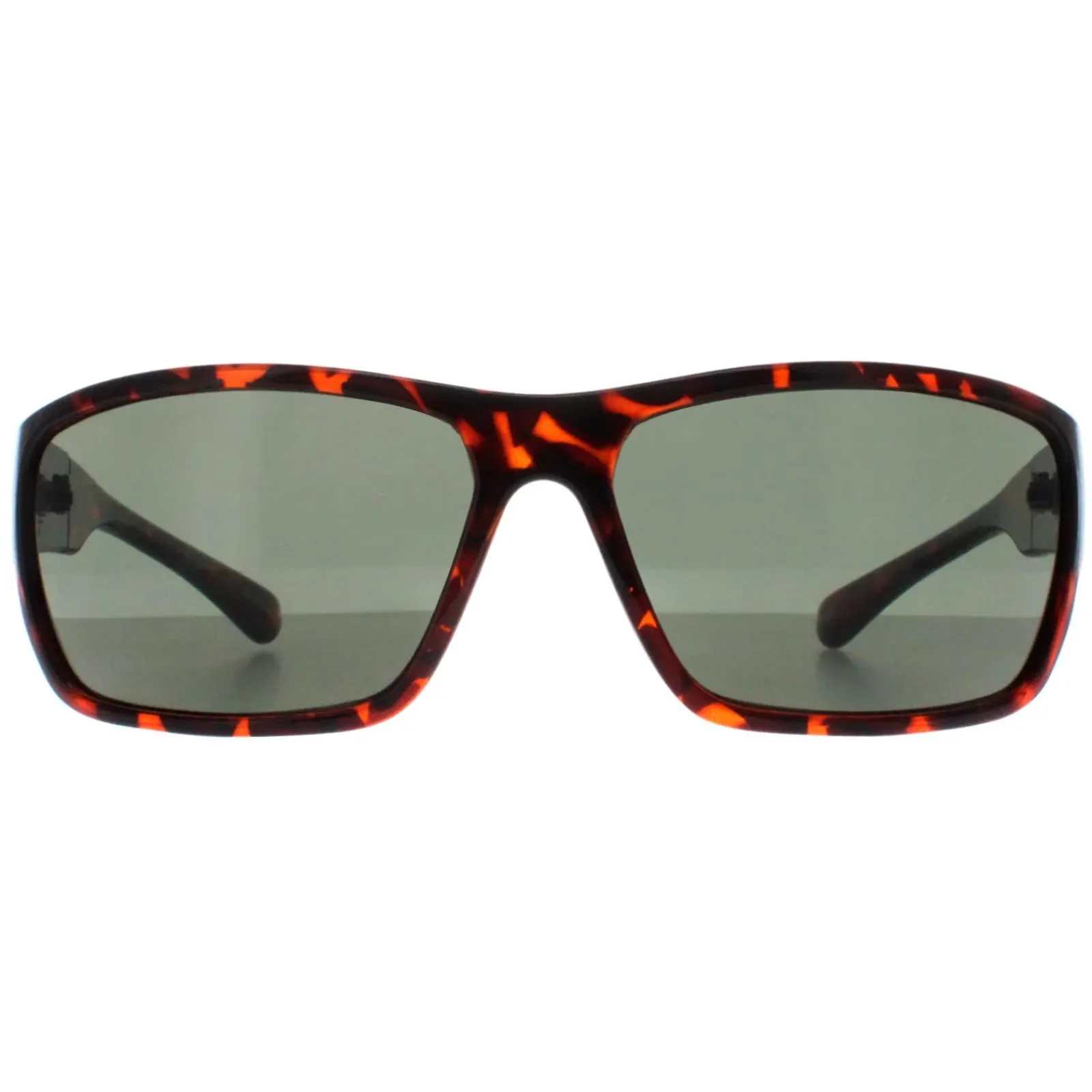 Smarty Wrap|Wrap^Sunglasses X2135 B Demi Brown Tortoise Green