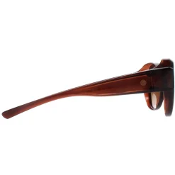 Smarty Polarised|Round^Sunglasses X2115 B Transparent Brown EF Brown