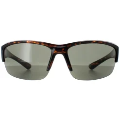 Smarty Wrap|Wrap^Sunglasses X2036 C Demi Brown Tortoise Green