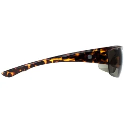 Smarty Wrap|Wrap^Sunglasses X2036 C Demi Brown Tortoise Green