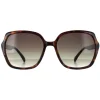 Smarty Square^Sunglasses X2110 D Tortoise Brown Grey