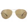 SunOptic Polarised|Oval^Sunglasses SP100 C Gold Flex Brown Polarized