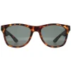 Superdry Rectangle^Sunglasses Alfie 102P Havana Green