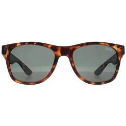 Superdry Rectangle^Sunglasses Alfie 102P Havana Green