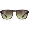 Superdry Square^Sunglasses Rockstar 170A Brown Brown