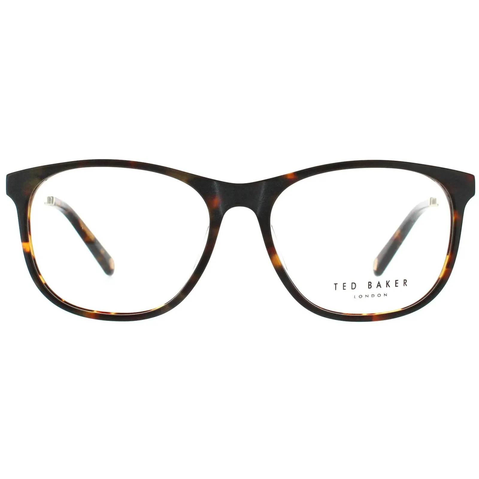 Ted Baker Ted Baker^Glasses Frames Beale TB8191 145 Tortoise Men Women