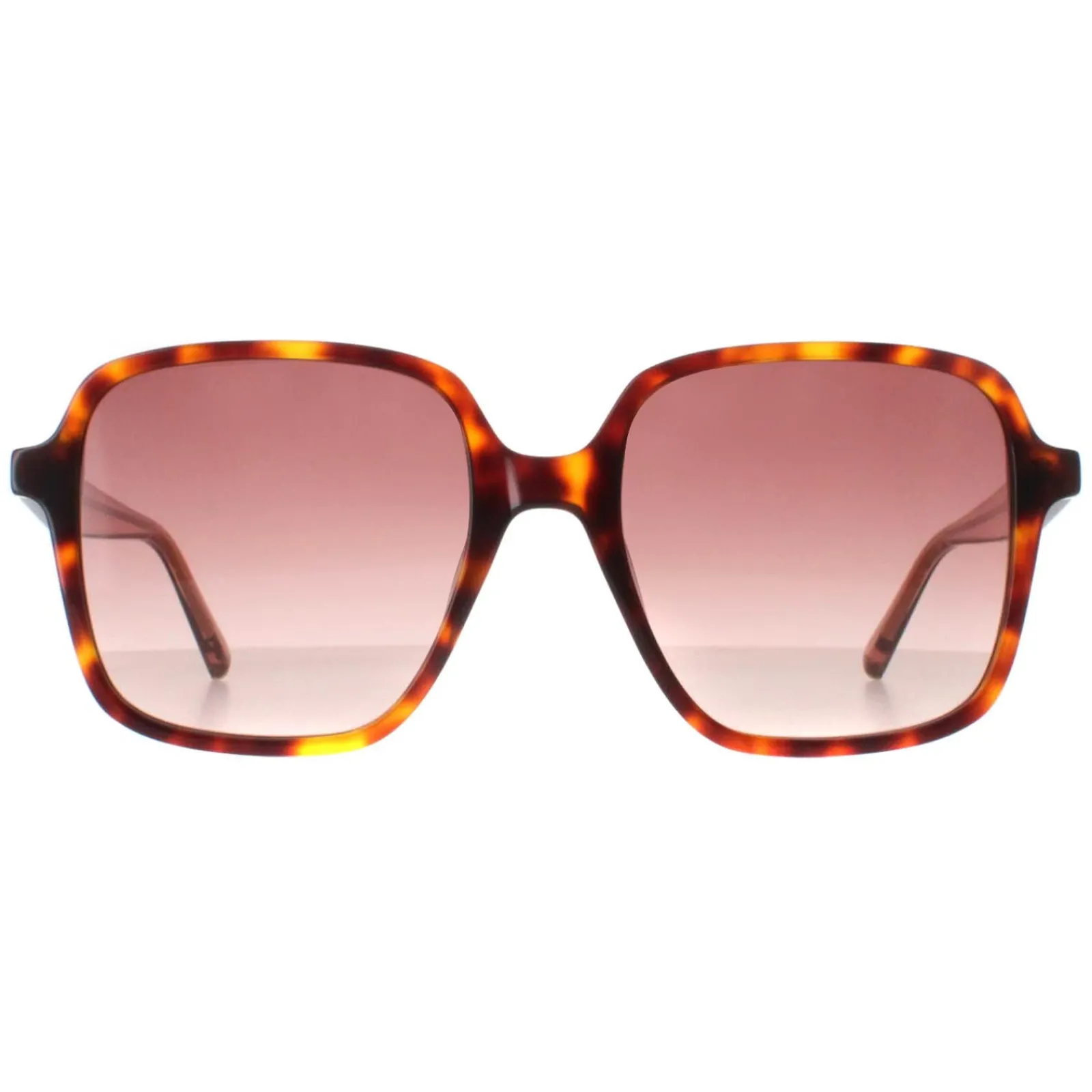 Ted Baker Square|Ted Baker^Sunglasses TB1688 100 Tortoise Pink Gradient