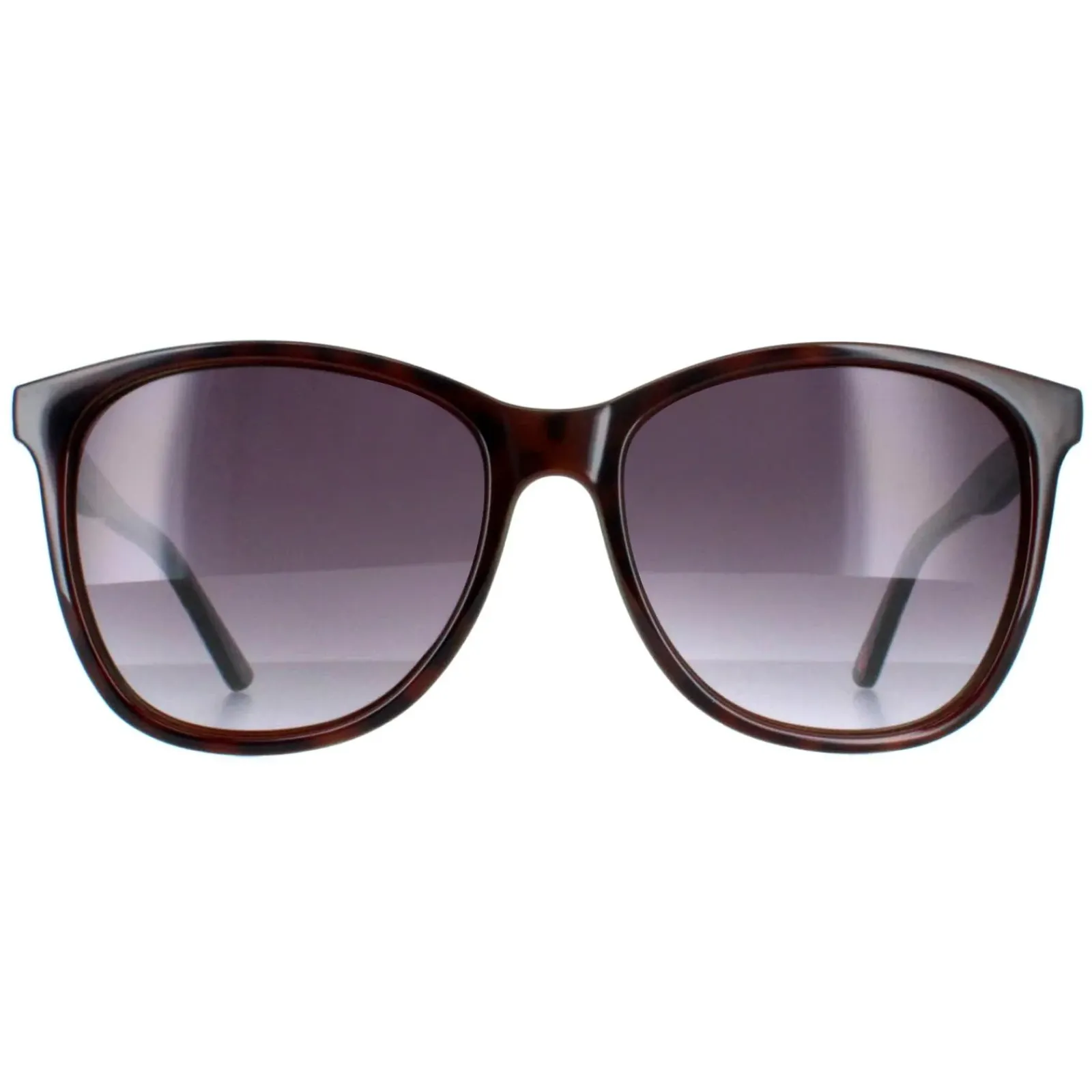 Ted Baker Oval|Ted Baker^Sunglasses TB1496 Alva 112 Tortoiseshell Grey Gradient