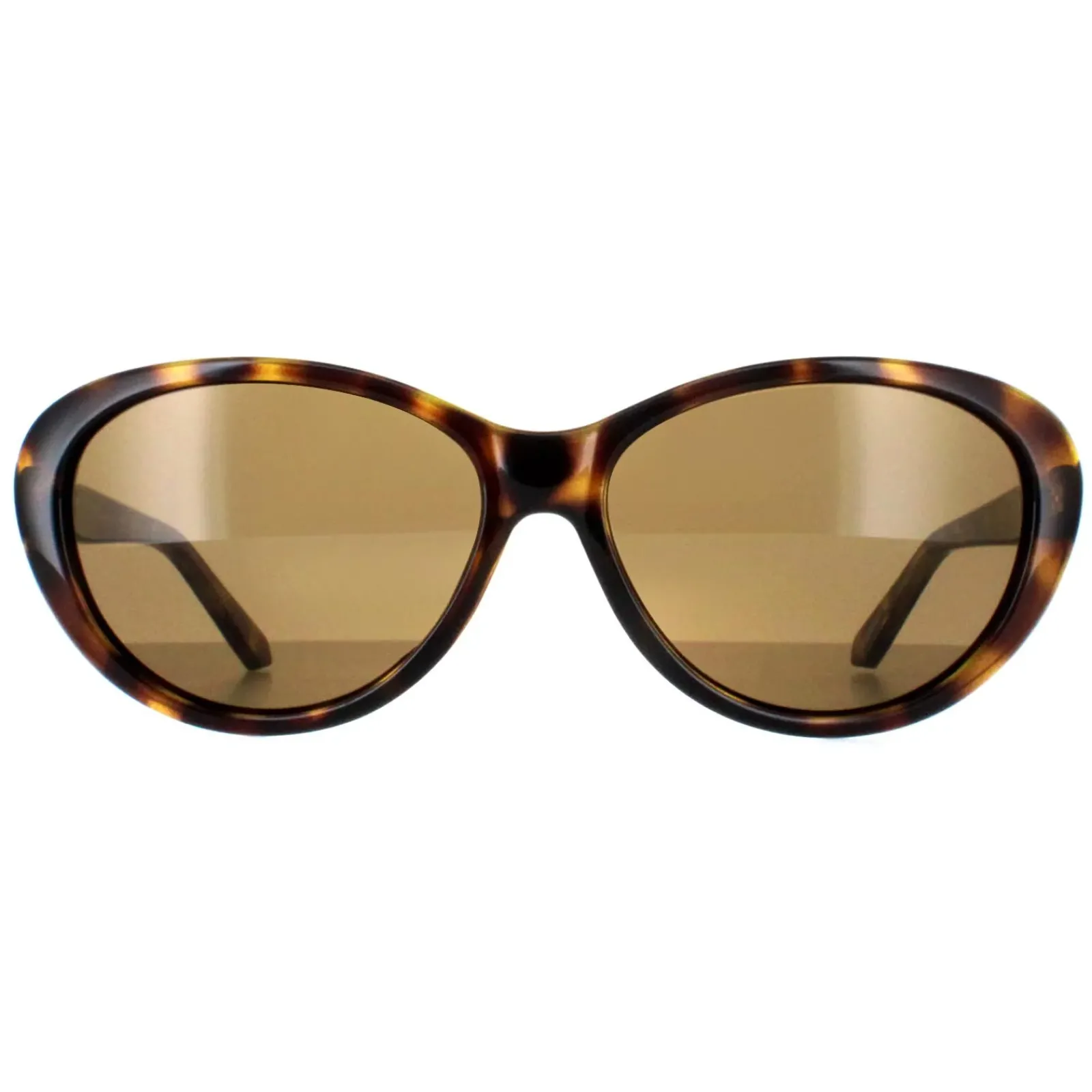 Ted Baker Oval|Ted Baker^Sunglasses TB1315 Cougar 122 Havana Brown Gradient