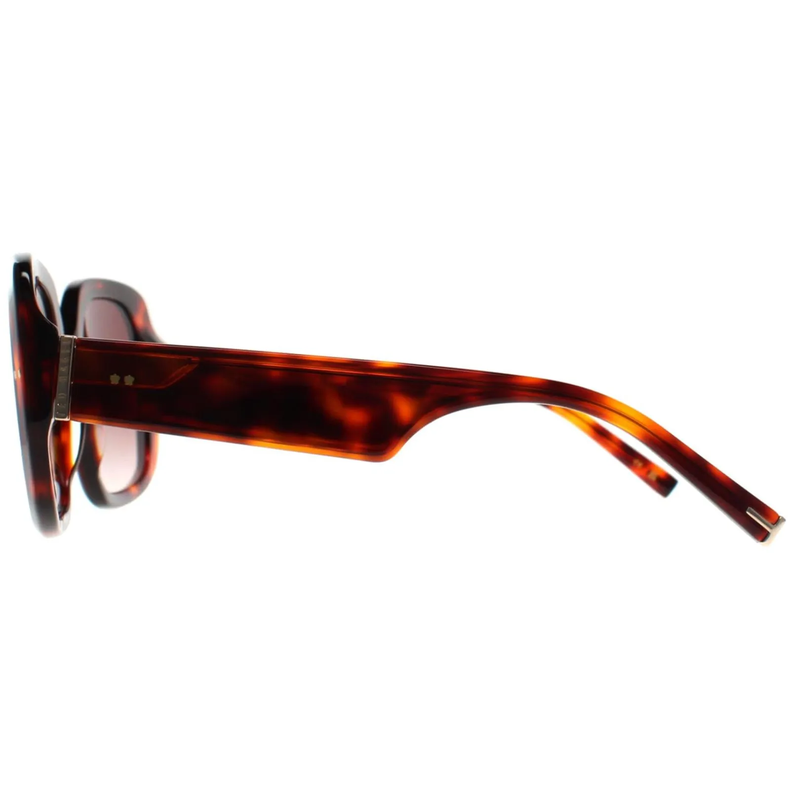 Ted Baker Square|Ted Baker^Sunglasses TB1730 Catrina 100 Tortoise Brown Gradient