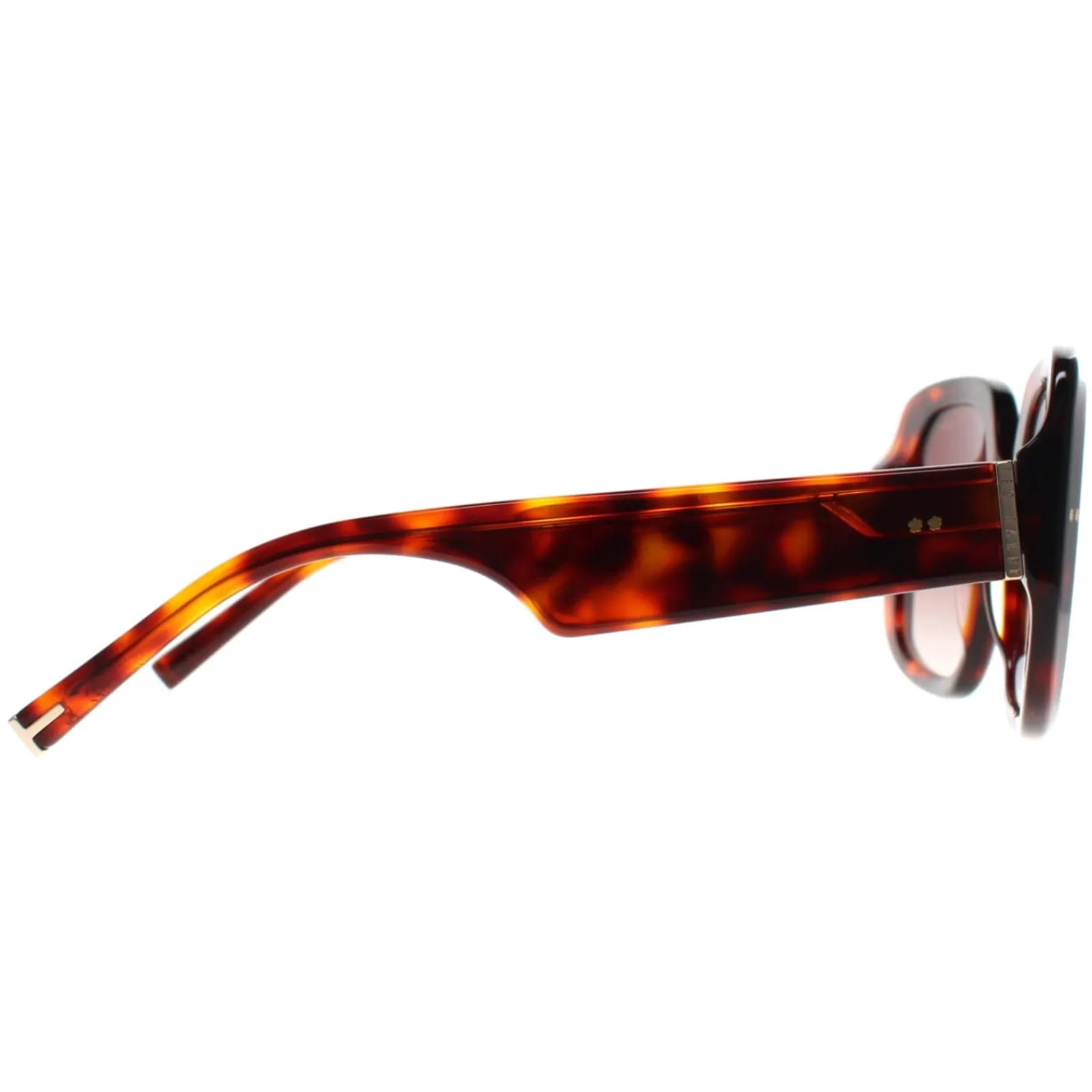 Ted Baker Square|Ted Baker^Sunglasses TB1730 Catrina 100 Tortoise Brown Gradient