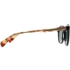 Ted Baker Ted Baker|Round^Sunglasses TB1721 Finley 001 Black and Tortoise Green