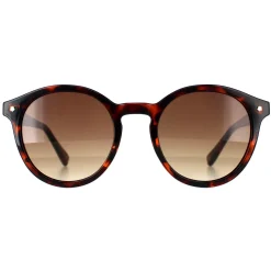 Ted Baker Ted Baker^Sunglasses TB1677 Fleur 149 Double Champagne Demi Brown Grad