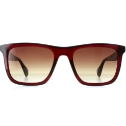 Ted Baker Square^Sunglasses TB1680 Filipe 249 Crystal Dark Wine Brown Gradien