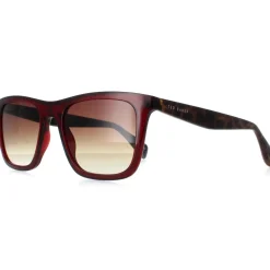 Ted Baker Square^Sunglasses TB1680 Filipe 249 Crystal Dark Wine Brown Gradien