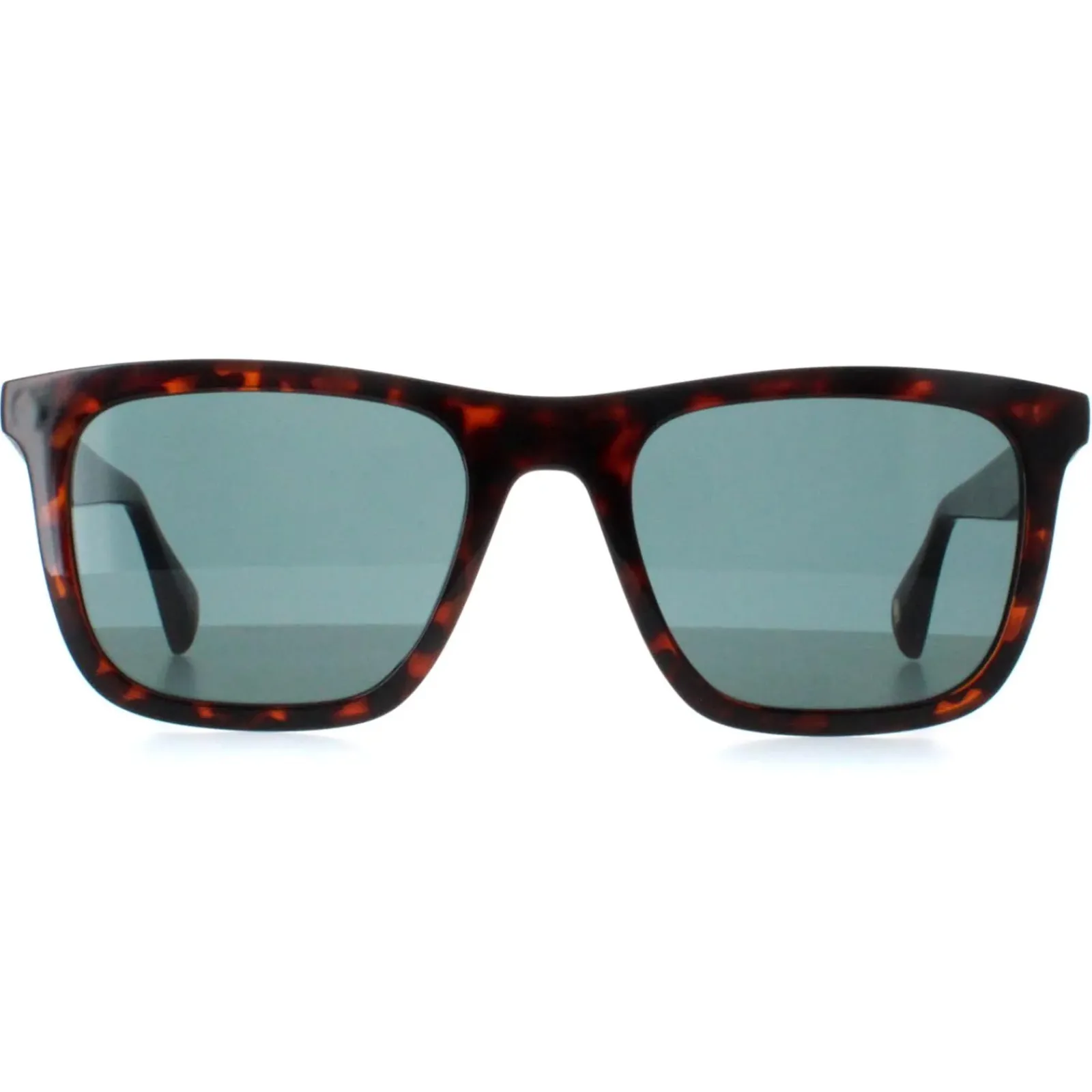 Ted Baker Square^Sunglasses TB1680 Filipe 110 Milky Dark Brown Blue
