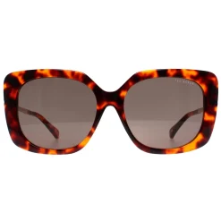 Ted Baker Square|Ted Baker^Sunglasses TB1732 Heather 188 Tortoise Grey Green