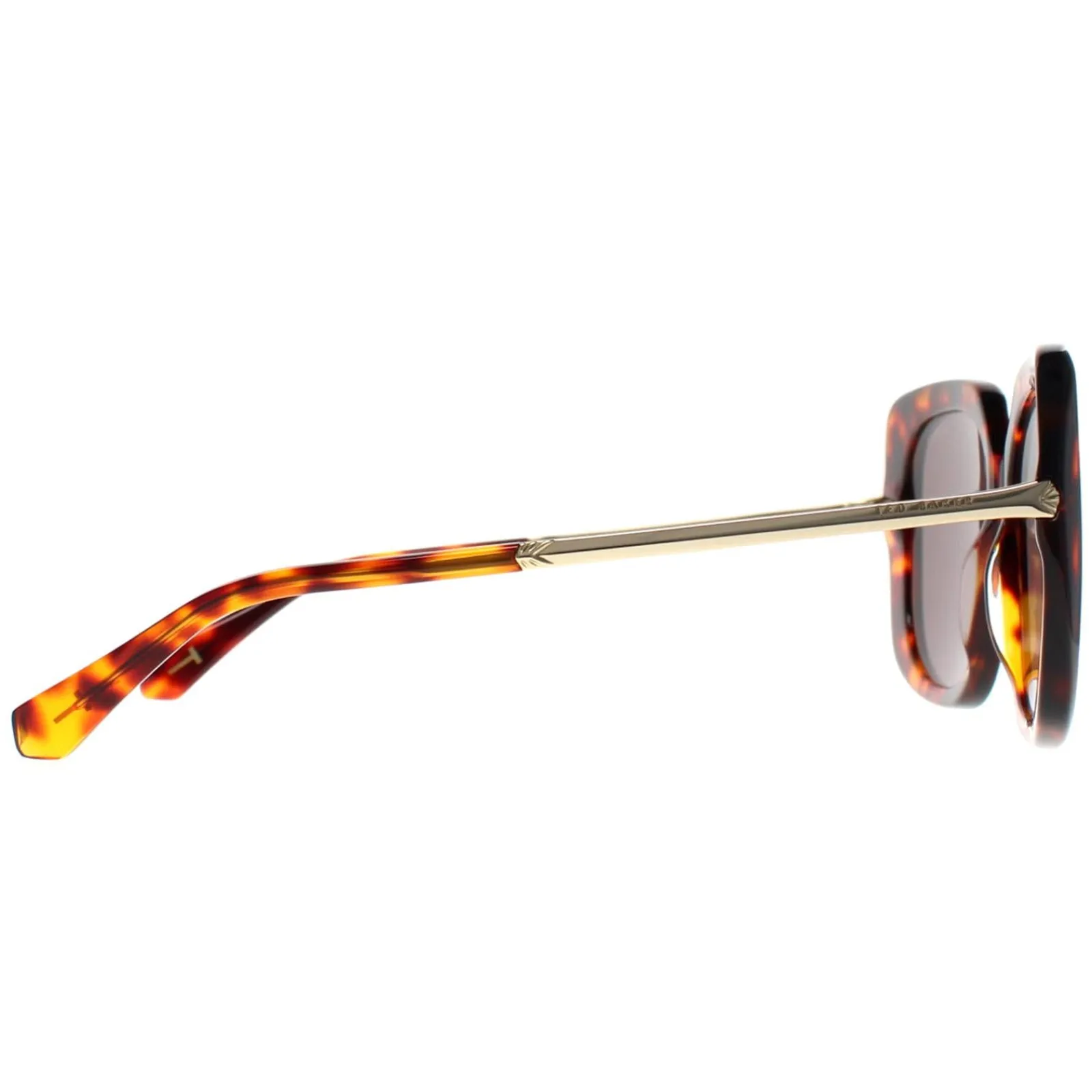 Ted Baker Square|Ted Baker^Sunglasses TB1732 Heather 188 Tortoise Grey Green