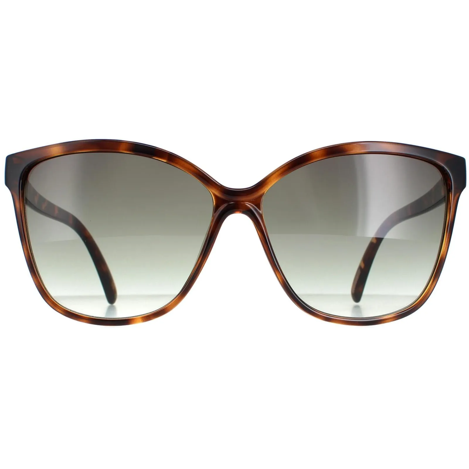 Ted Baker Square|Ted Baker^Sunglasses TB1400 Kiara 122 Tortoiseshell Brown Gradient