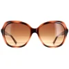 Ted Baker Butterfly|Ted Baker^Sunglasses TB1645 Kim 122 Havana Brown
