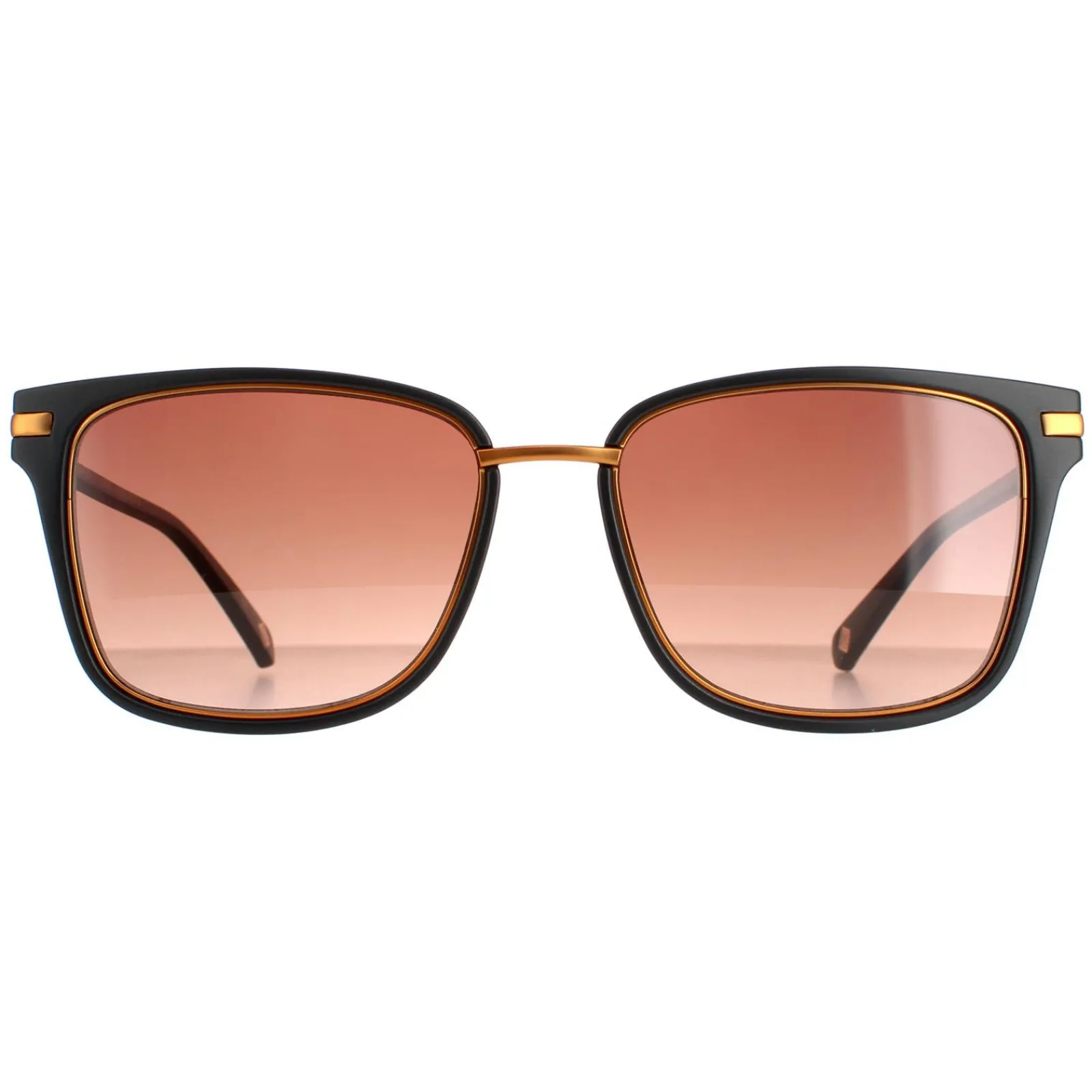Ted Baker Square|Ted Baker^Sunglasses TB1620 Mata 001 Black Brown Gradient