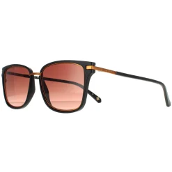 Ted Baker Square|Ted Baker^Sunglasses TB1620 Mata 001 Black Brown Gradient
